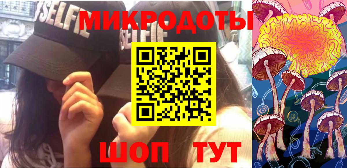 Галлюциногенные грибы Psilocybe Киселёвск