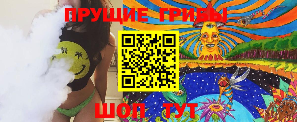 что такое наркотик  Псилоцибиновые грибы прущие грибы  Вход с VPN  Киселёвск 